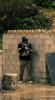 Adridefense_5