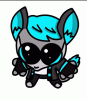 NeritoBonito