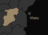 Viseu
