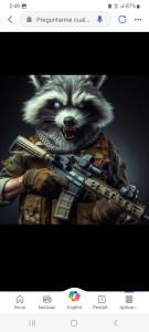 Mapaches Locos