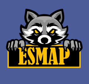 Escuadrón Mapache
