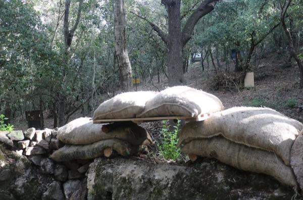 Campo de airsoft (M.A.C) Menorca Airsoft Crew en Mercadal, Islas Baleares