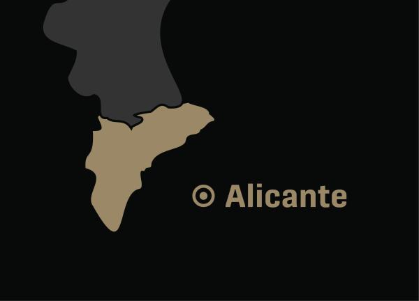 Grupo de airsoft Alicante en Alicante