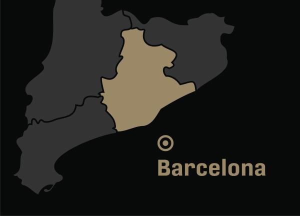 Grupo de airsoft Barcelona en Barcelona