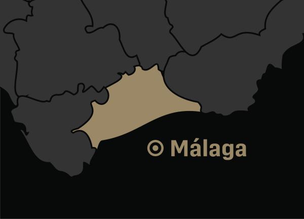 Grupo de airsoft Málaga en Málaga