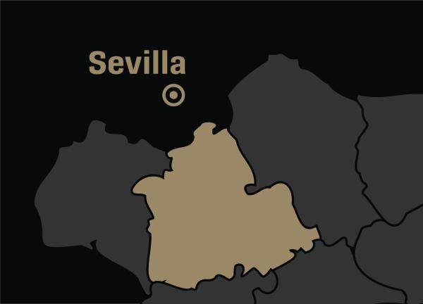 Grupo de airsoft Sevilla en Sevilla