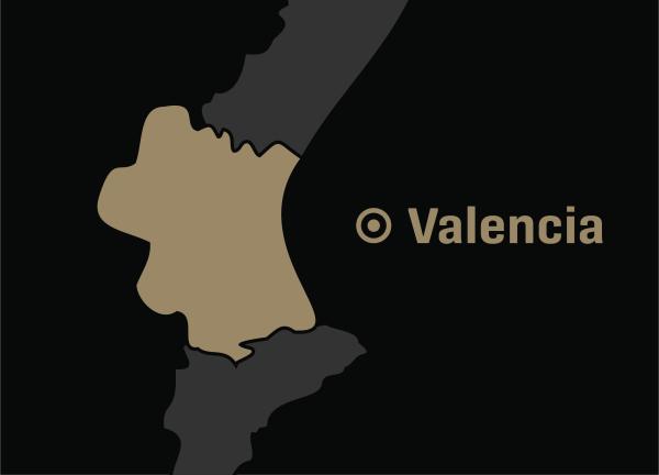Grupo de airsoft Valencia en Valencia