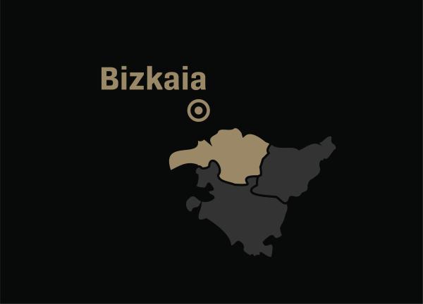 Grupo de airsoft Bizkaia en Bizkaia