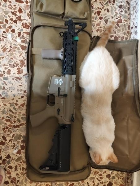 CM-16 RIDER GYG